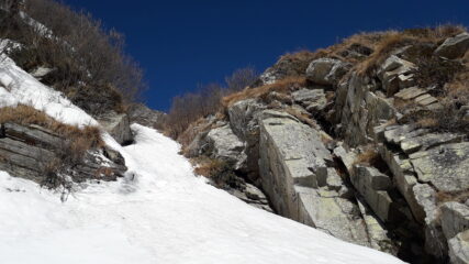 brevi facili impennate ben coperte..