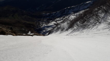 dall'alto verso il basso..