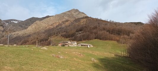 Muande Freste