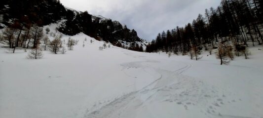 Primaverile in basso