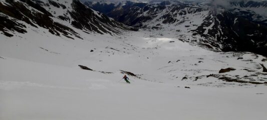 Neve umida e viabilità piatta