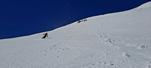 Farina pressata in alto