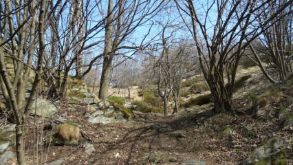 Si intravede il colle