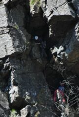 Bocca di tigre da fuori (foto Enrico Ferraro)
