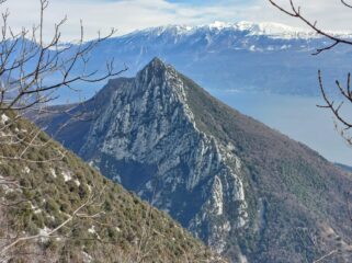 Il Castello di Gaino visto dal Pizzocolo (foto 02.2023).  La cresta SO risulta evidente.