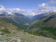 Cogne con Bianco sullo sfondo