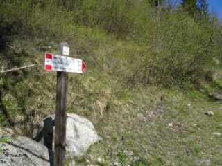 Palina alla partenza