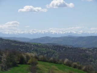 Alpi innevate da Olmo Gentile