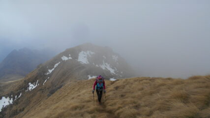 Nella parte alta avvolti nella nebbia