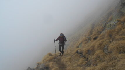 Ritorno nella nebbia...