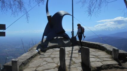 Sul Freidour