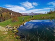 Lago delle rane