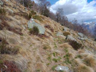 qua ANDARE A SX (salendo) no proseguire dritto sulla traccia più marcata