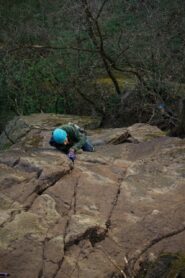 Lorenzo dopo il tettino di L2