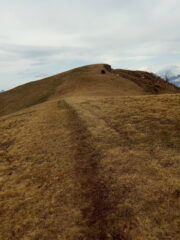 solo andare