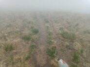 Visibilità ottimale :-D