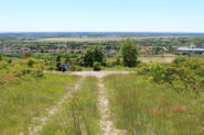 Panorama dal Monte Sei Busi