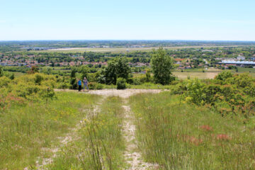 Panorama dal Monte Sei Busi