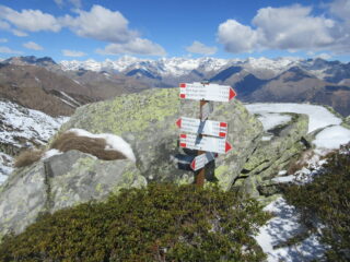 nei pressi del Colle della Croce d'Intror