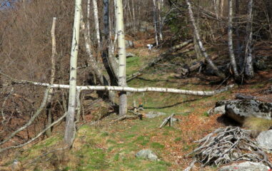 Al bivio per Frassa/Bussoni. 