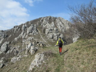 Monte delle Gettine (m.1183) con lo strappo finale