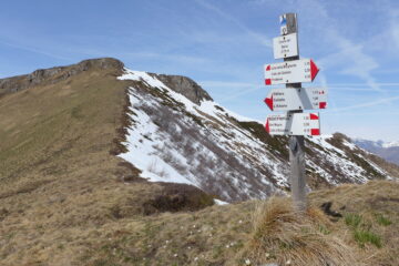 Tratto finale Cernauda