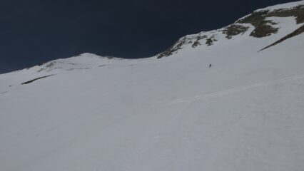 Primaverile perfetta