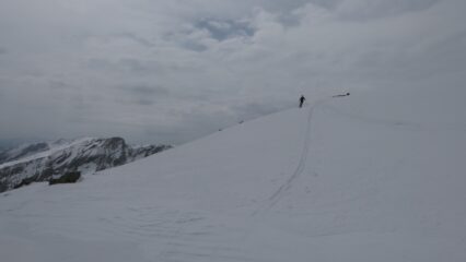 Cima