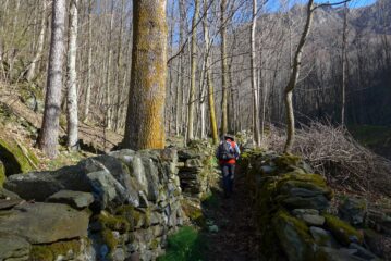 Sulla bella mulattiera dopo Vasario