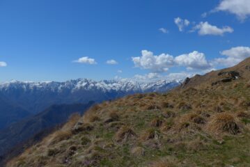 Panorama ottimo dopo il bosco