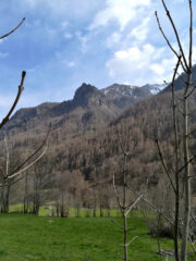 Bec Tirsi visibile dalla strada.