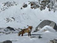 Foto di Lorenza