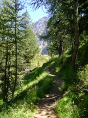 Sentiero del Col Fenetre