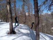 boschetti per Steu e Pier