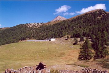 Chamolé al rientro