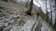 Ascensore