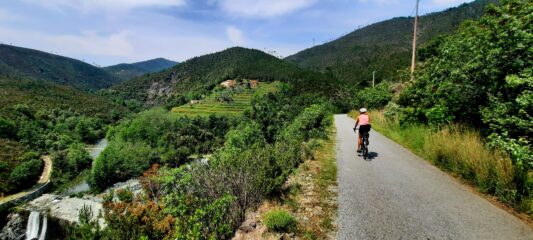 Si pedala tra verde e fiori