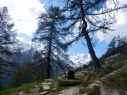 Vista lungo il percorso