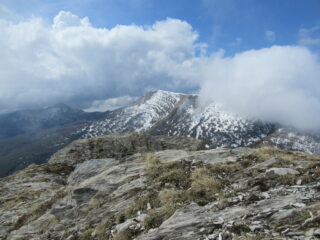 Monte Bertrand (m.2480) dalla Cima Pertega' (m.2404)