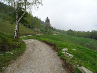 durante il ritorno