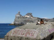 Caprette su bunker e Portovenere