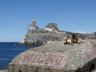 Caprette su bunker e Portovenere