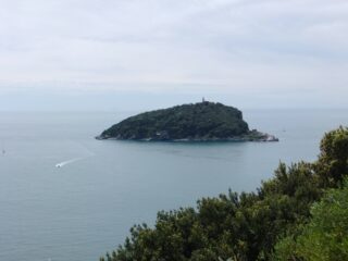 Isola del Tino da sopra la Marinella