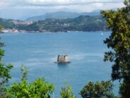 Torre Scola
