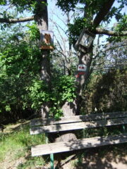 In vetta alla Torre Bregalla