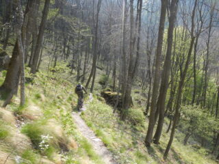 sul sentiero 524 verso il Torrente Gravio