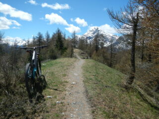 il sentiero ciclabile sulla dorsale