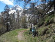 sulla mulattiera oltre il Pourachet