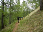 sul sentiero verso il Colletto Rosso