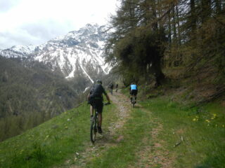 lo sterrato che sale verso il Monte Chaberton